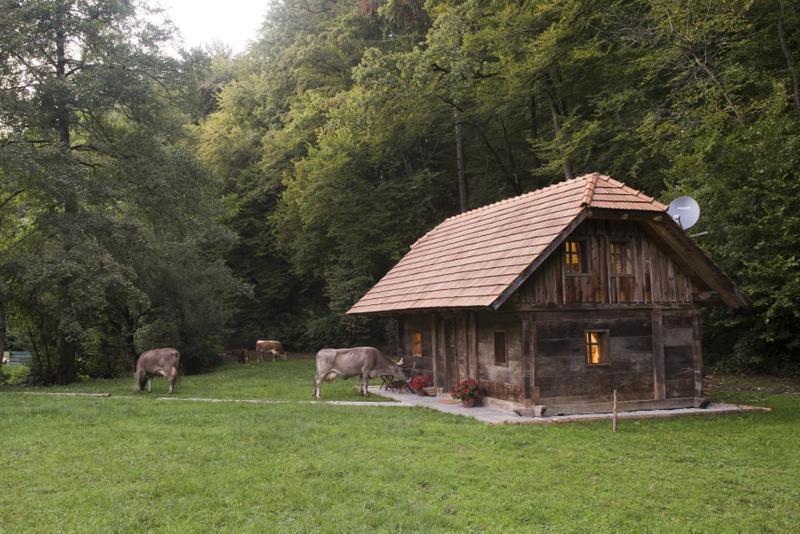 Domacija Seruga Countryside Hotel Novo Mesto Exteriör bild