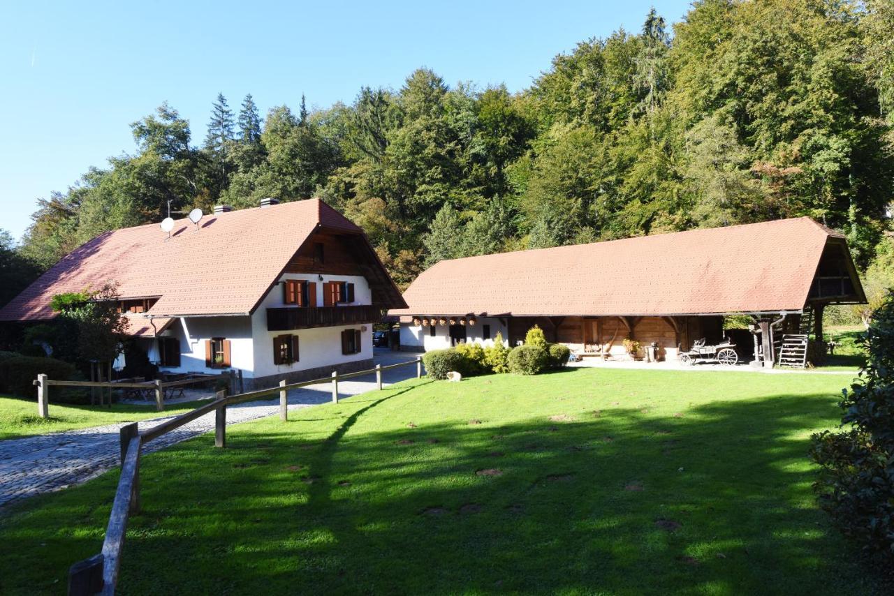 Domacija Seruga Countryside Hotel Novo Mesto Exteriör bild