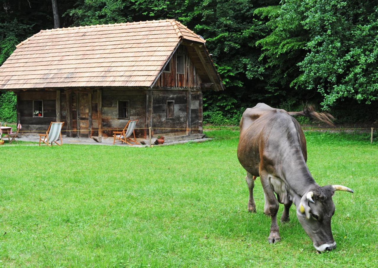 Domacija Seruga Countryside Hotel Novo Mesto Exteriör bild