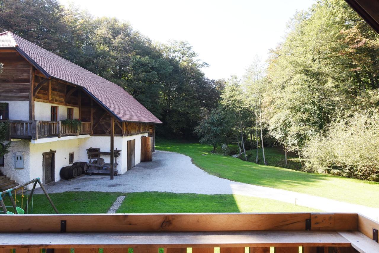 Domacija Seruga Countryside Hotel Novo Mesto Exteriör bild
