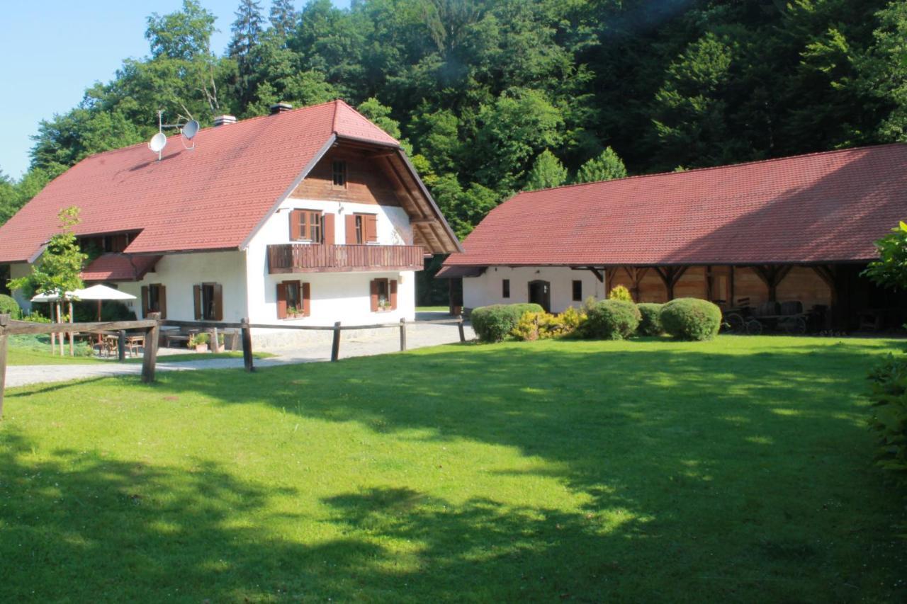 Domacija Seruga Countryside Hotel Novo Mesto Exteriör bild